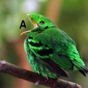 Meet your Posher, Katelyn